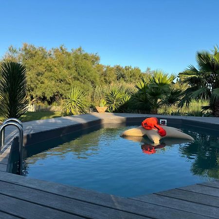 Cabane Le Flamant Avec Jardin, Piscine Et Parking Saintes-Maries-de-la-Mer Zewnętrze zdjęcie