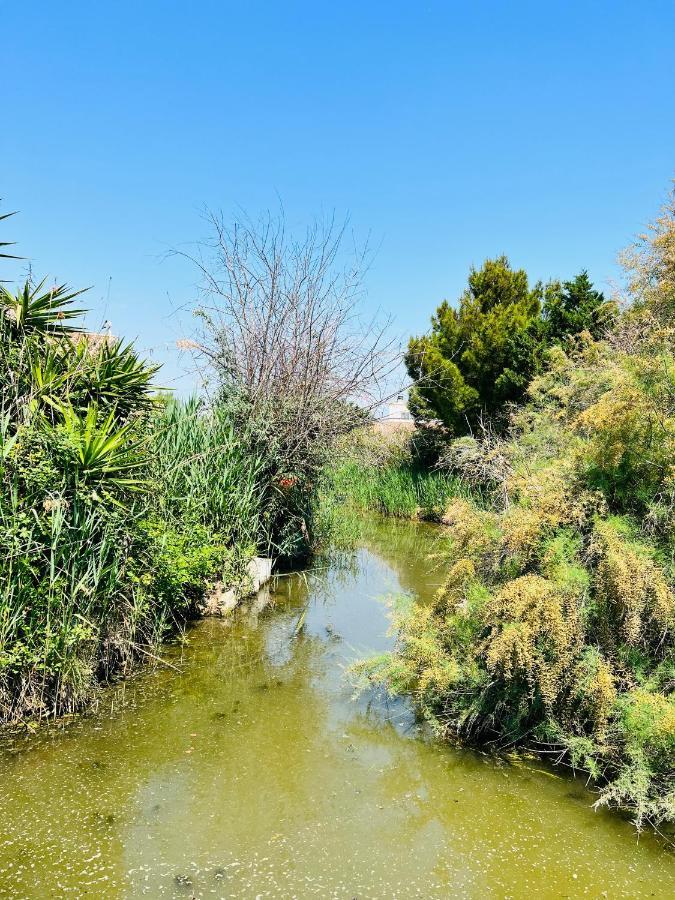Cabane Le Flamant Avec Jardin, Piscine Et Parking Saintes-Maries-de-la-Mer Zewnętrze zdjęcie