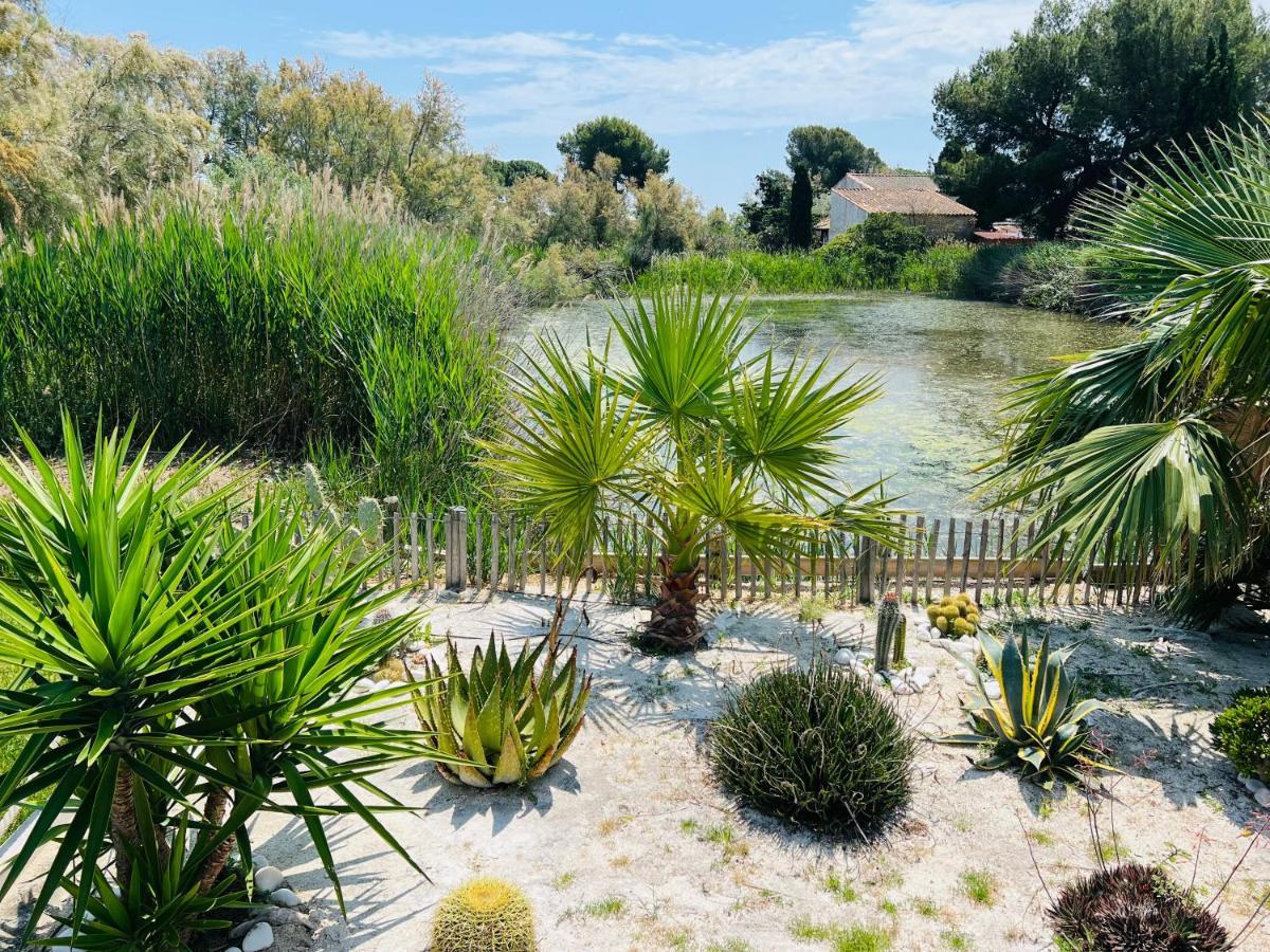 Cabane Le Flamant Avec Jardin, Piscine Et Parking Saintes-Maries-de-la-Mer Zewnętrze zdjęcie