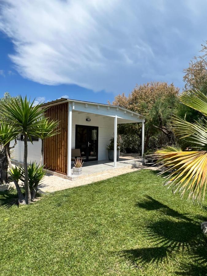 Cabane Le Flamant Avec Jardin, Piscine Et Parking Saintes-Maries-de-la-Mer Zewnętrze zdjęcie
