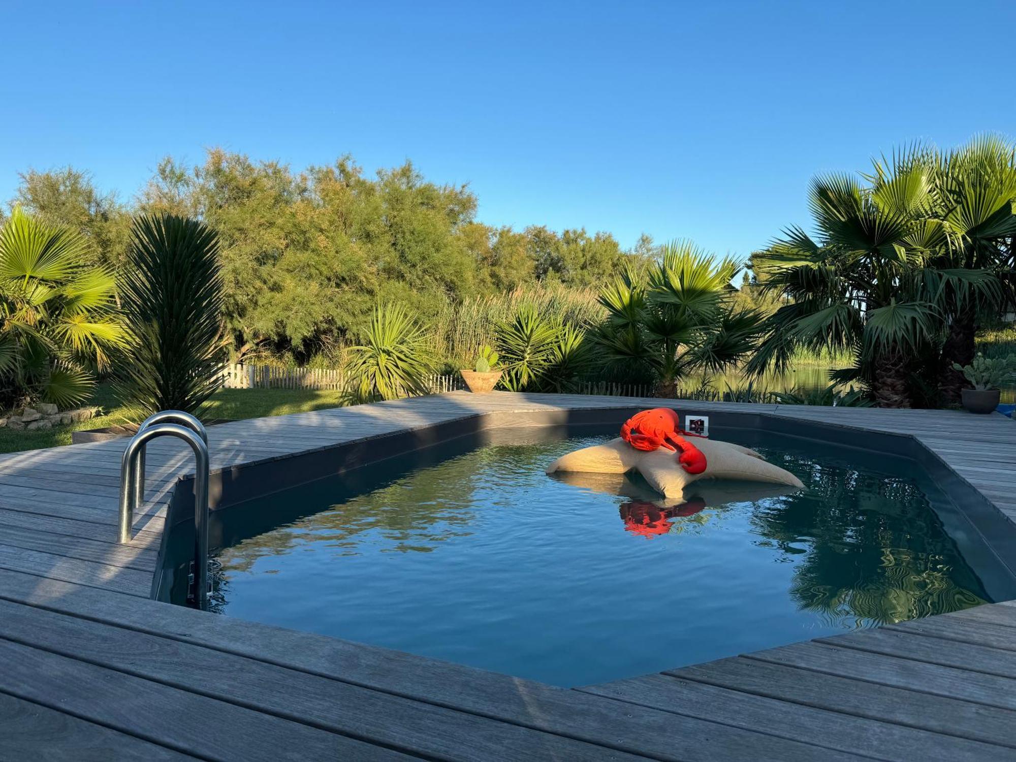 Cabane Le Flamant Avec Jardin, Piscine Et Parking Saintes-Maries-de-la-Mer Zewnętrze zdjęcie